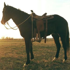 Meet your Posher, Serena